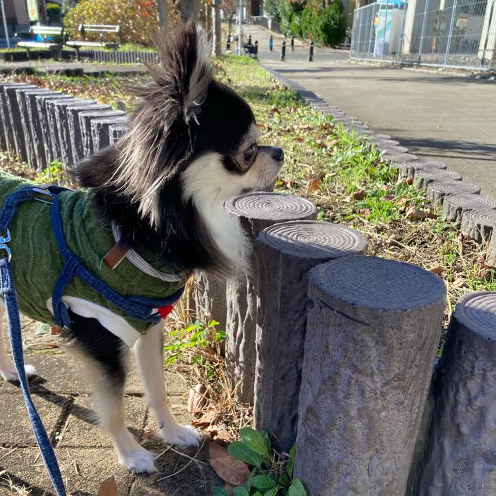 A8c5ed46 4b06 4096 8617 932738098728 1638021698805