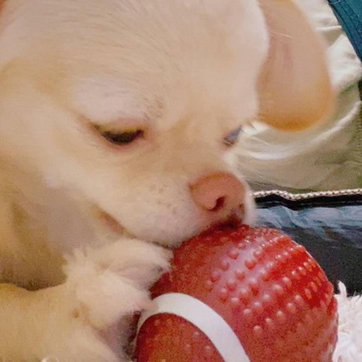 A8c5f4f0 b6c9 4d58 819c 25f31ce47151 1625807146730