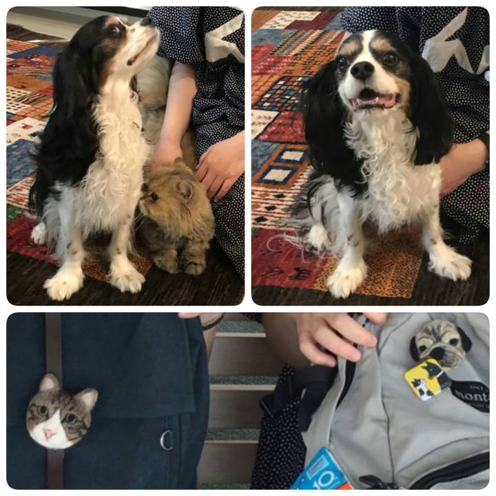 A8c60c5e 48d0 40cb a07e f980d627dae5 1532261778489