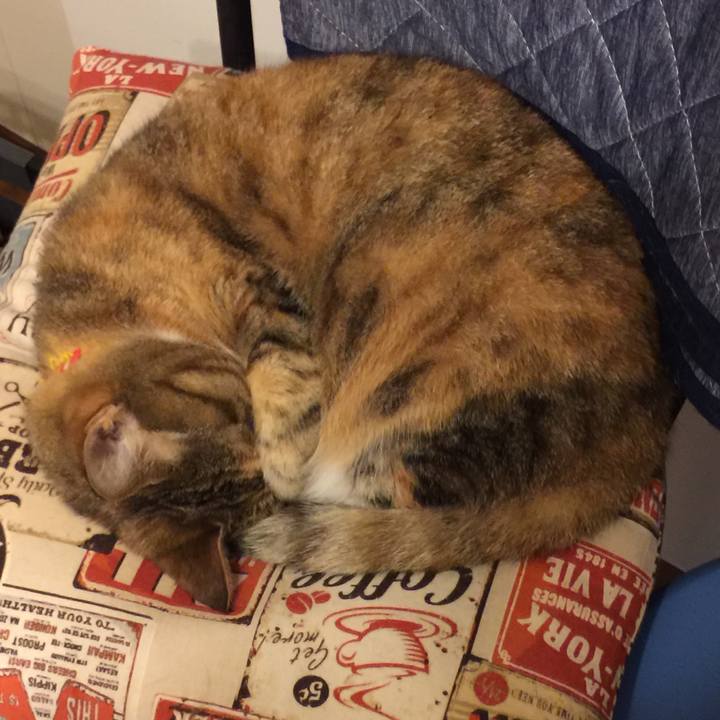 A8c6492c a0d4 4c68 8775 c964514e4412 1554044768607