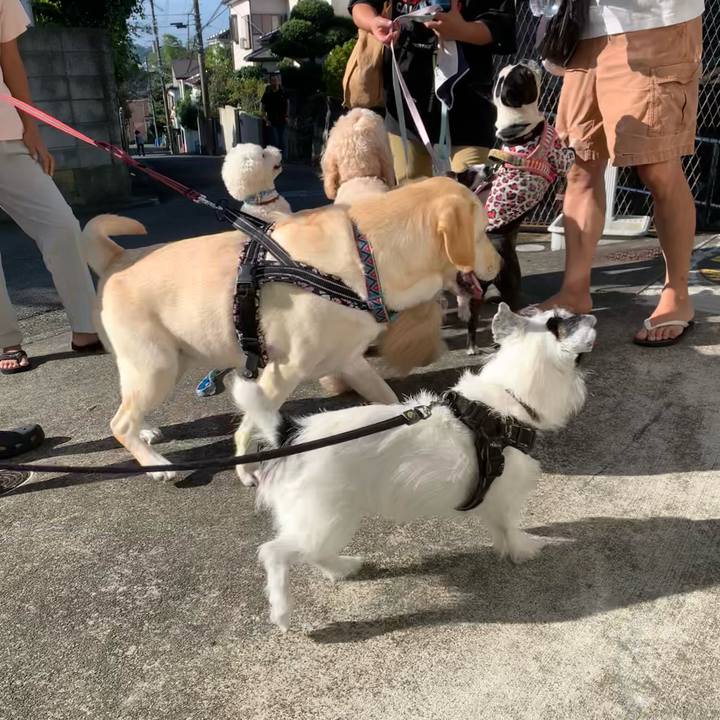 A8c6b3df f8fb 4440 a18e 8c767f0578a4 1728257971259