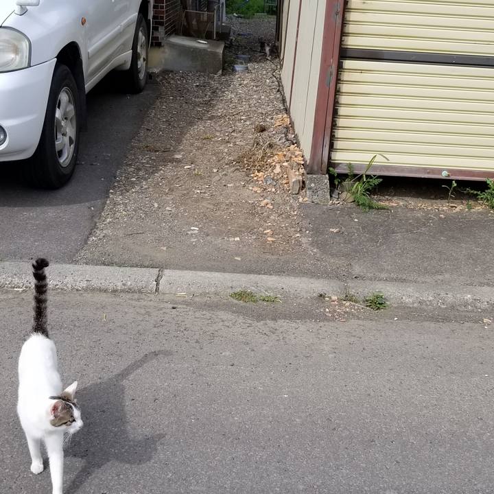 A8c6c3cf 2bcc 4b70 9f90 5ab6c6753edd 1597064424521