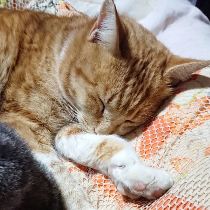 A8c6d064 8bf9 455a bdda c6a2029fcaef 1578058091048