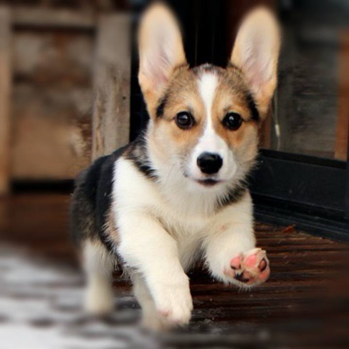 A8c71c7a f9ae 4cfb a2e5 544f37242ebc 1767077822566