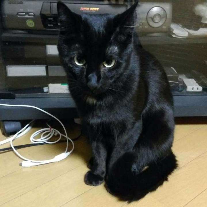 A8c72c43 b973 4ee6 8902 4ac14b773715 1523619710689