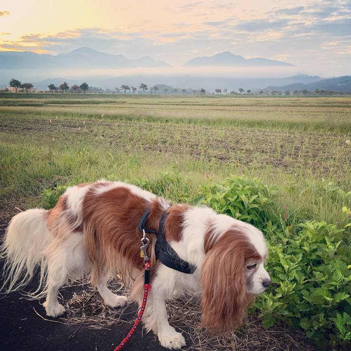 A8c75aa4 f965 442e 9264 576368055af3 1571348180925