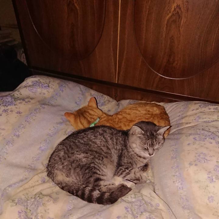 A8c76841 9f57 4be4 a62a 5373f242b876 1582295942887