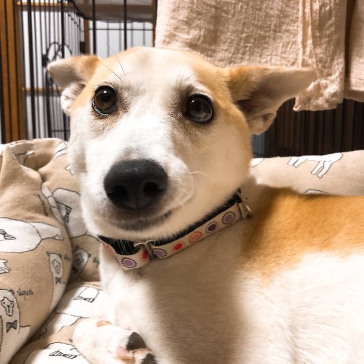 A8c77cfb cabe 4fac b3eb c26f403b07c3 1592745170880