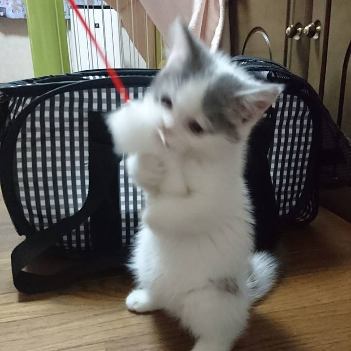 A8c78948 bbc2 4f25 b756 662f10d80024 1526003706038