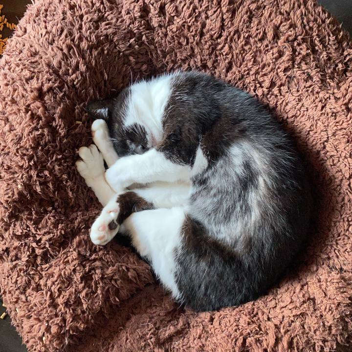 A8c7b537 ee82 45a2 9302 acce3d0368db 1599804645923