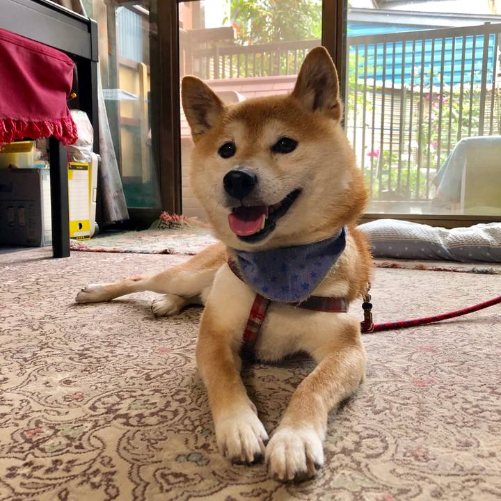 A8c7c994 18a9 4be1 9be1 458cb0a25eb9 1561719592418