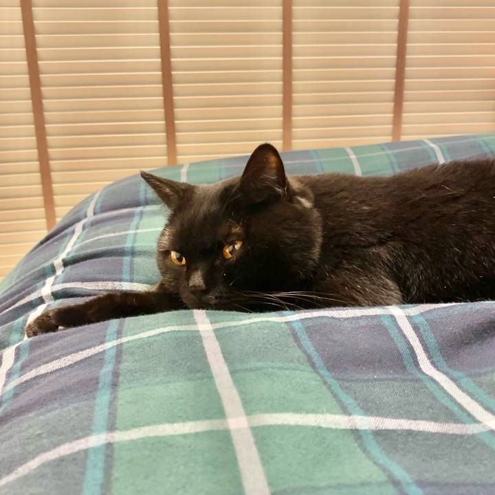 A8c7f3f8 442c 43c1 8a68 77ba5212df1c 1647697190799