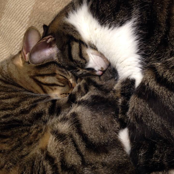 A8c80c11 50b7 4816 b0a4 00ead05587e5 1511532051259