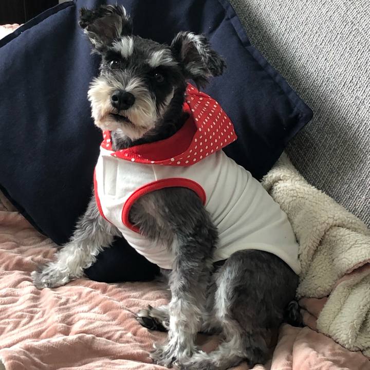 A8c81c0e fcf3 41f2 891a a7482255fd3b 1712459016377