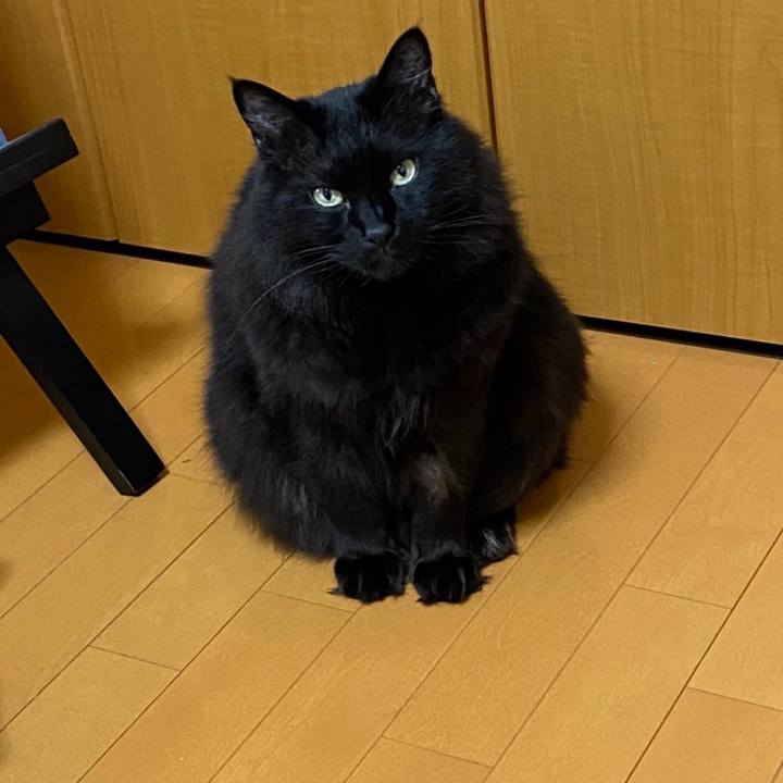 A8c82cc5 9151 4de3 bccc 5baefda0bbd1 1586525436307