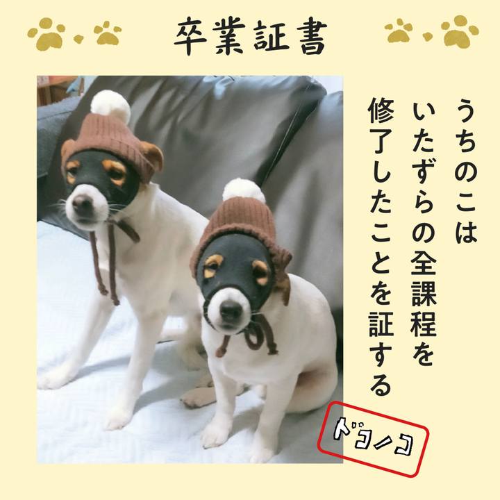 A8c89e52 7b0a 4692 b96e 0246f22ed175 1772005346513