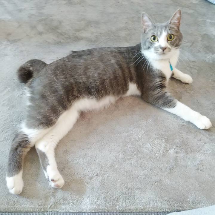 A8c8a9ce 7263 4d2a b8cc 4da12abd2885 1590617559383