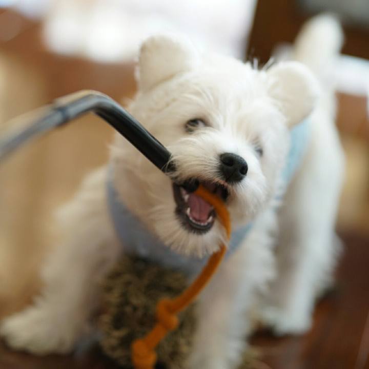 A8c8be6e b1de 46c8 8b29 b3d2069162be 1522846101785