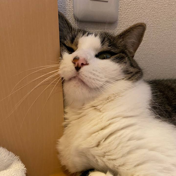 A8c8f2ce 32db 486b 8e4f d7723572fbf6 1592214569898