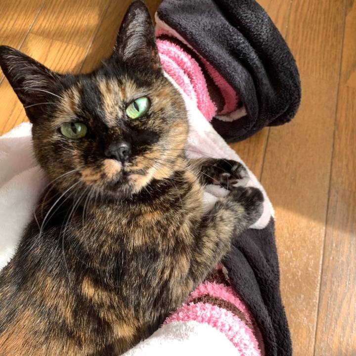 A8c90b1b 2684 4092 854a b510424cf58e 1615946489928