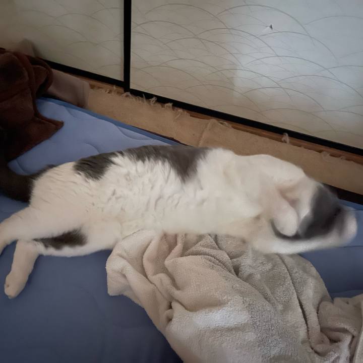 A8c930f5 e2ca 4032 bbaf 9144b226b499 1656897000852