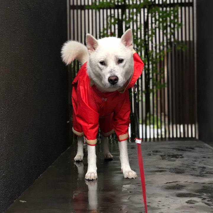 A8c96782 8a99 4900 82c2 abeff506d2dc 1566254077086