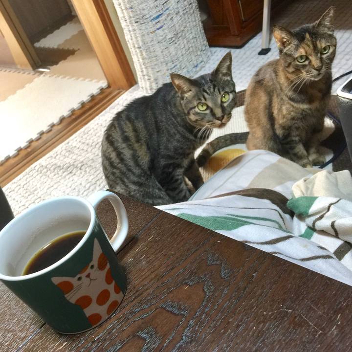 A8c9eac1 e2c1 4d52 9003 6cba610e492c 1548166664957