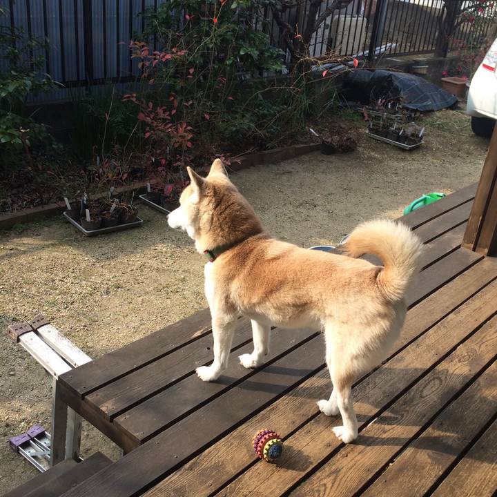 A8ca6c1b 6861 4351 88e4 f8299df30c7c 1548382988217