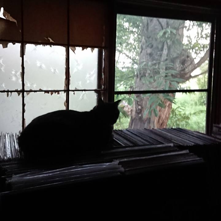 A8ca743c 6a4d 42f0 88e6 b709d128515f 1662419823025