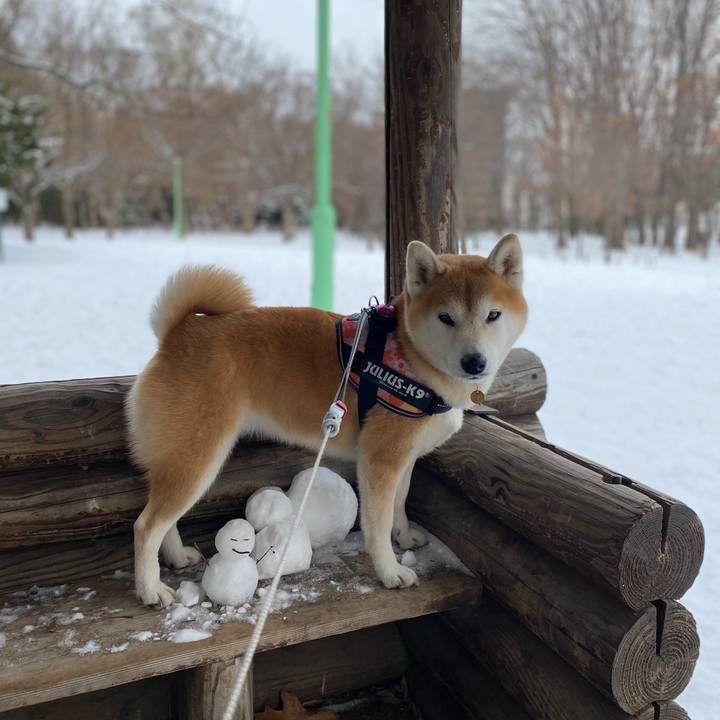 A8caf290 1597 4dc7 ab88 0041ea738d3f 1608949378625