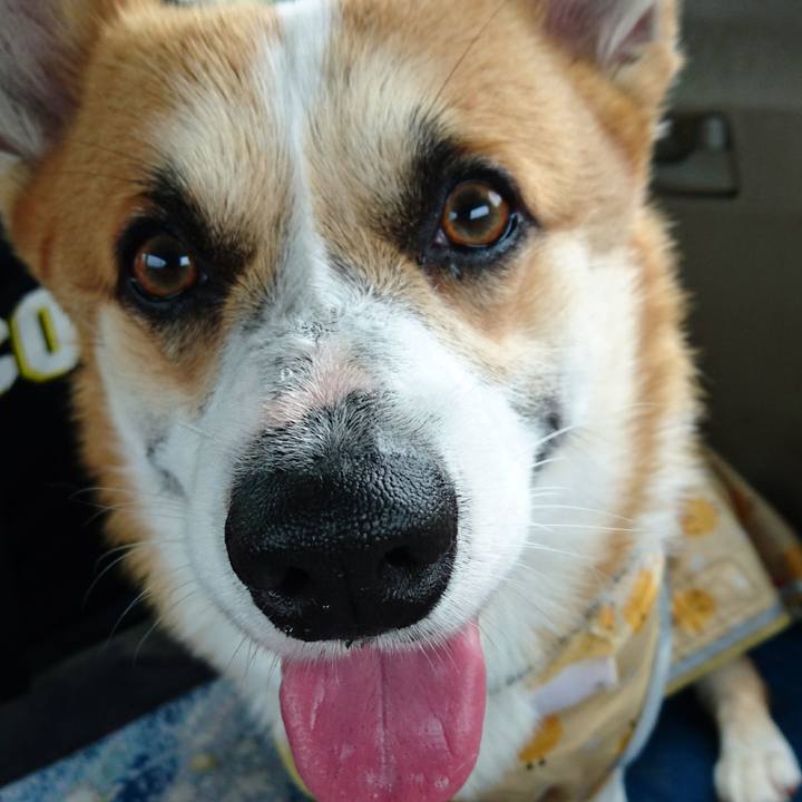 A8cb1140 1d0b 42bb a25f 0466094bce68 1622522230736