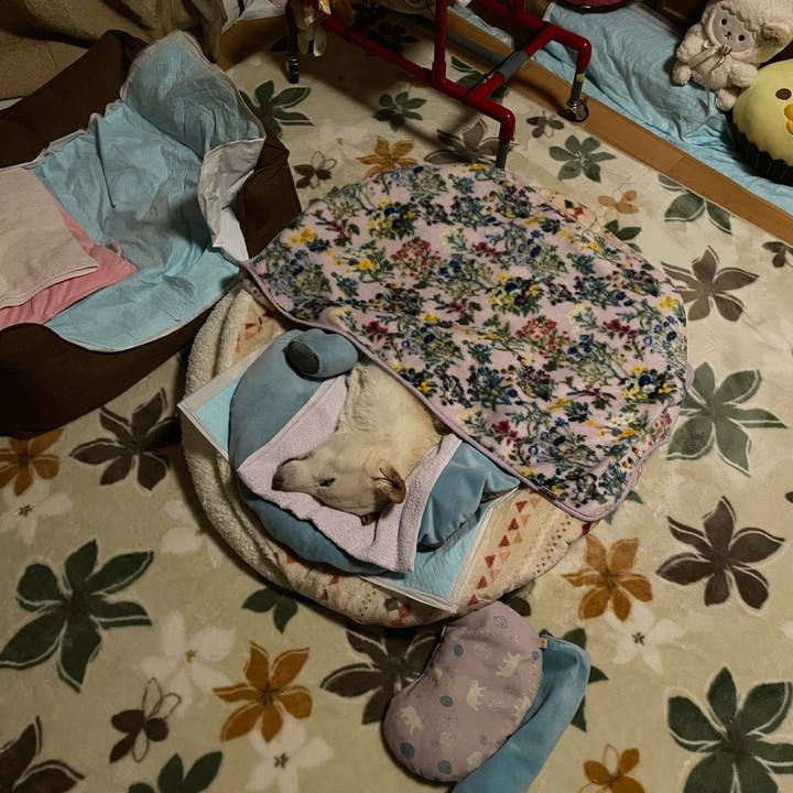 A8cb19a9 0e70 48ce acd6 dfac3c4c7568 1672079566726