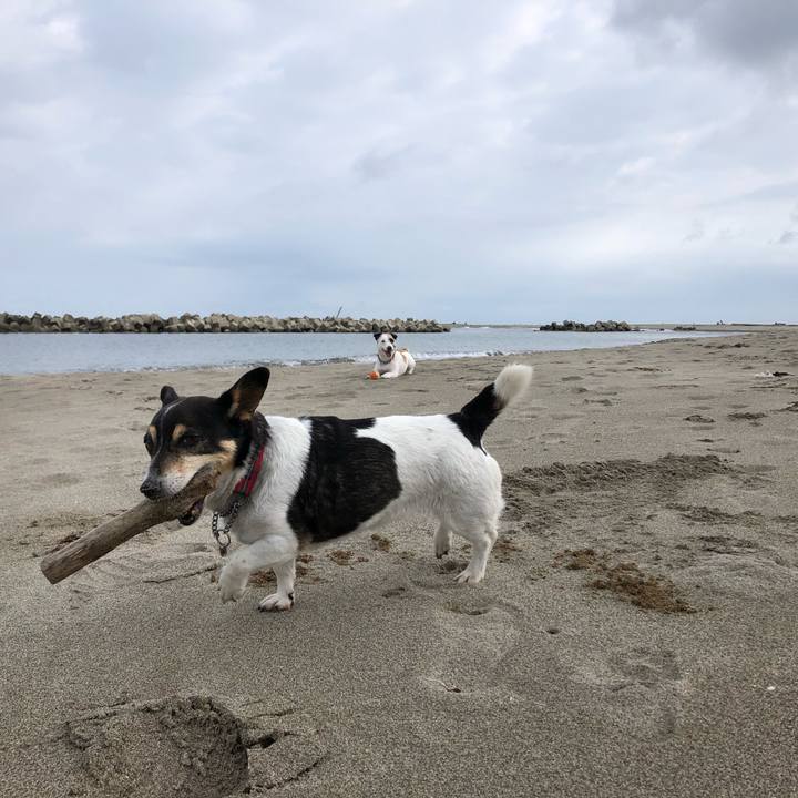 A8cb2d61 ca9e 41f9 969f 217ded7e4645 1561264868858