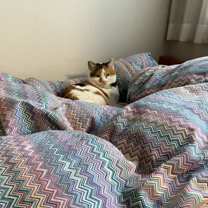 A8cb5ad9 ab68 4368 adbb 8f246ec51b98 1672444372496