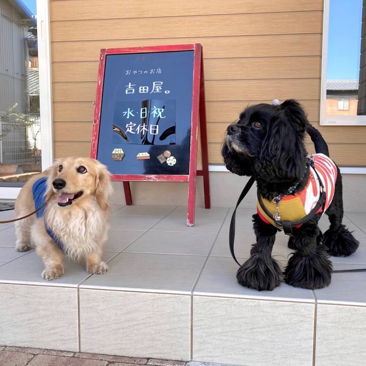 A8cb666e 8b30 4791 9b22 358a8d5bc270 1585127412426