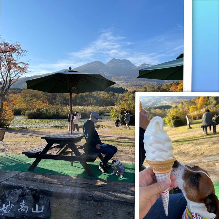 A8cbbf46 5ba2 49a6 b0b3 42954400e9ed 1635592302757