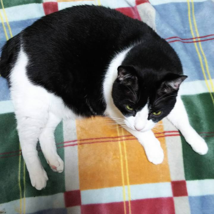 A8cbc6c9 8c94 41ed aad0 905fd40cdef9 1539780388927