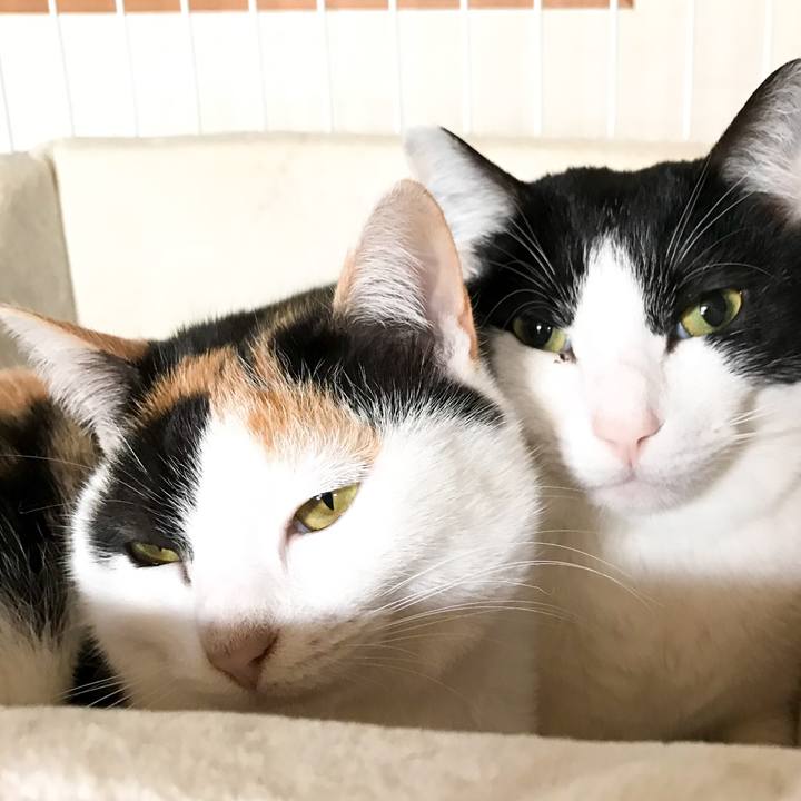 A8cbdeae a8a3 4fd2 954d d36fb20e6114 1516630942089