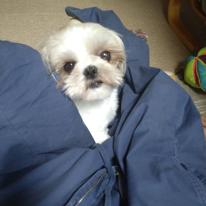 A8cc261b 76b5 49d9 916a 246e1d17e669 1627093528312