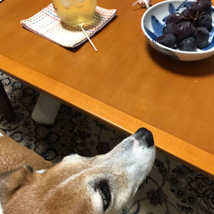 A8cc2b69 4dbc 4b27 a641 a82775290fd8 1566298794115