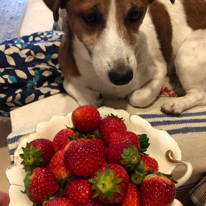 A8cc38e0 d22c 42b2 88d0 4052f4262141 1604904493374