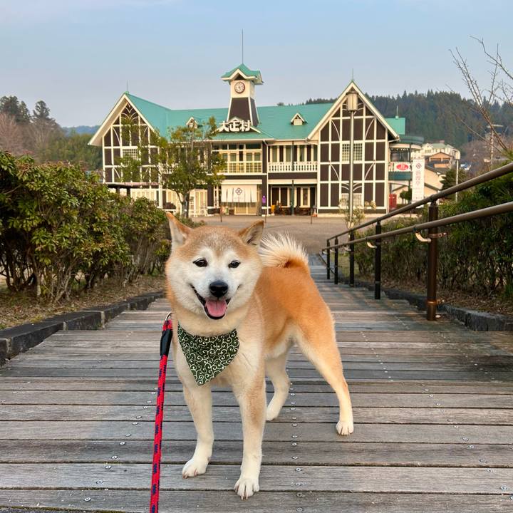 A8cc3998 5f1c 4528 8899 e9b0719e0d2a 1742986206335