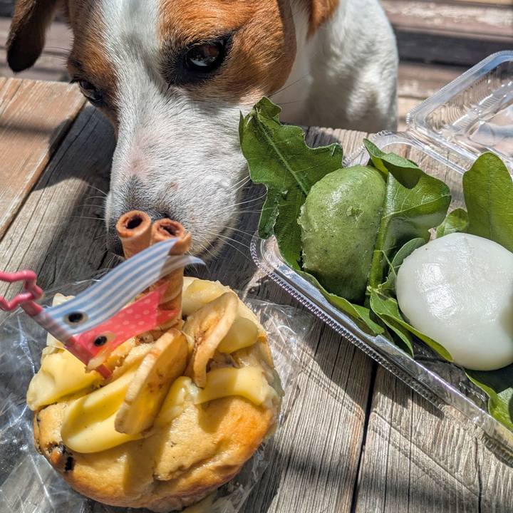 A8cc4288 6f27 4d62 bfe8 3aeea5161d8c 1746447561923