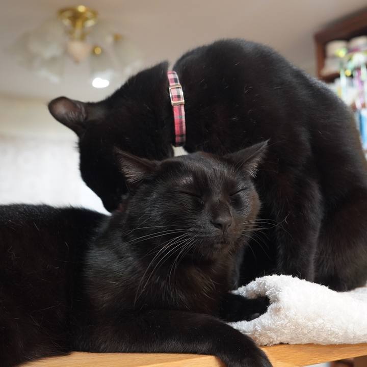 A8cc4cd3 72cf 446f 8b28 62f6ab7d9228 1612274968516