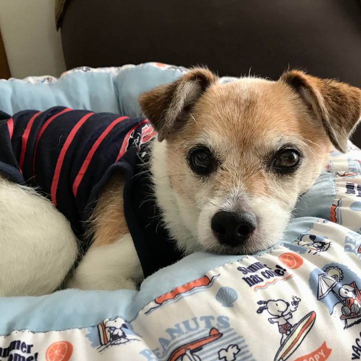 A8cc6d98 721c 4328 a593 149fe04b8409 1657065628731