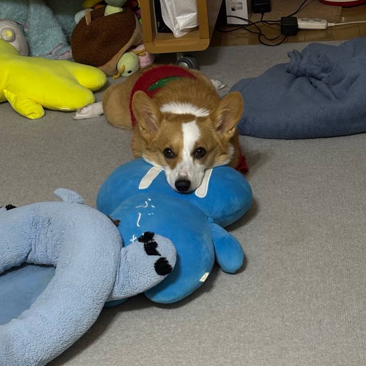 A8cc6fc3 888f 4cd3 84c3 56e18b07e900 1765806403761