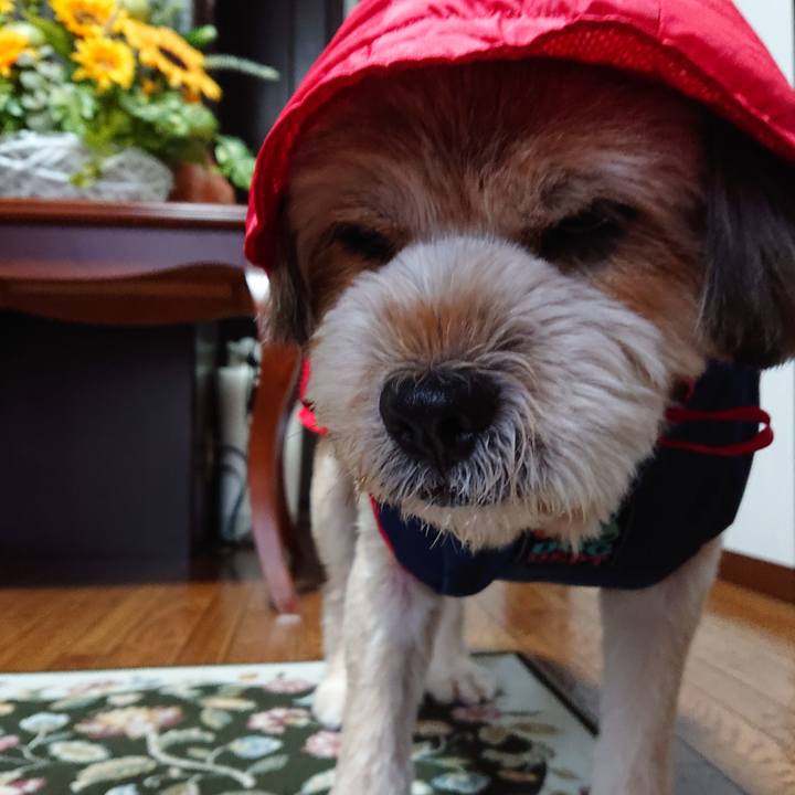 A8cc7cca 47d2 4dc8 9f96 2ef1034d2b6a 1594027546096