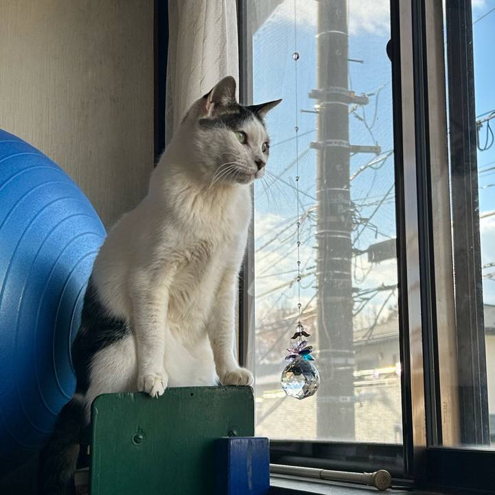 A8ccb440 839d 44fa 92e7 a51bd95e8966 1765289904667