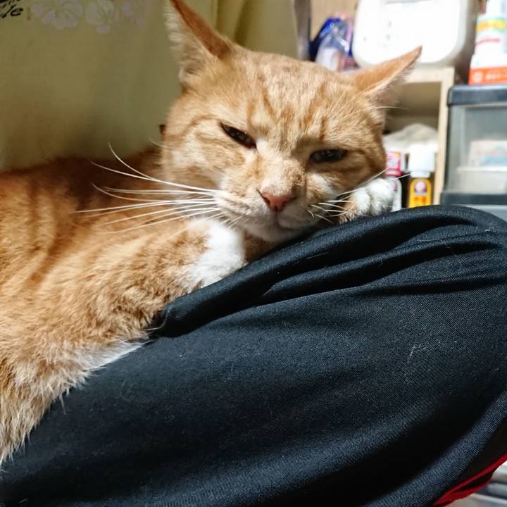 A8ccf465 b2d1 4ee5 b255 bd0e1bfaab08 1602155939730