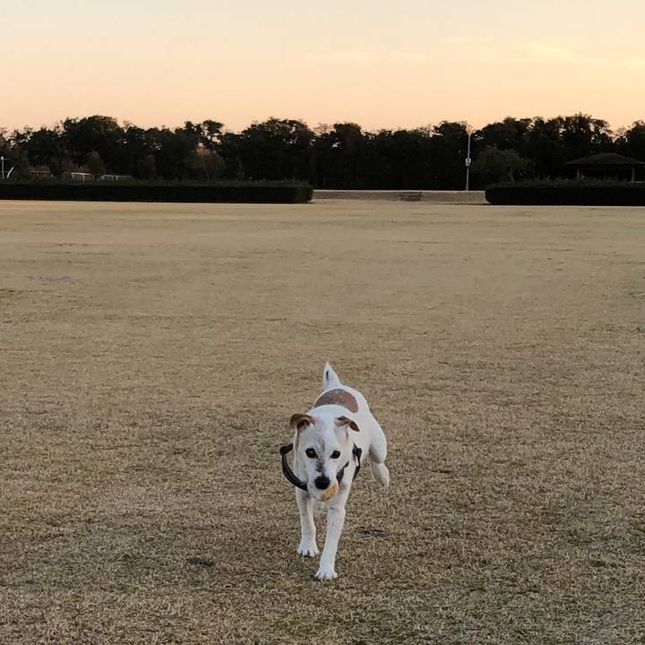 A8ccfb29 b17c 4aef b5f6 c8a08def9d53 1581424894381